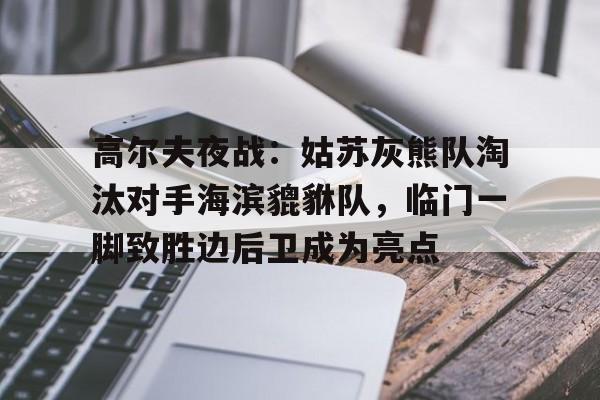 高尔夫夜战：姑苏灰熊队淘汰对手海滨貔貅队，临门一脚致胜边后卫成为亮点的简单介绍爱游戏